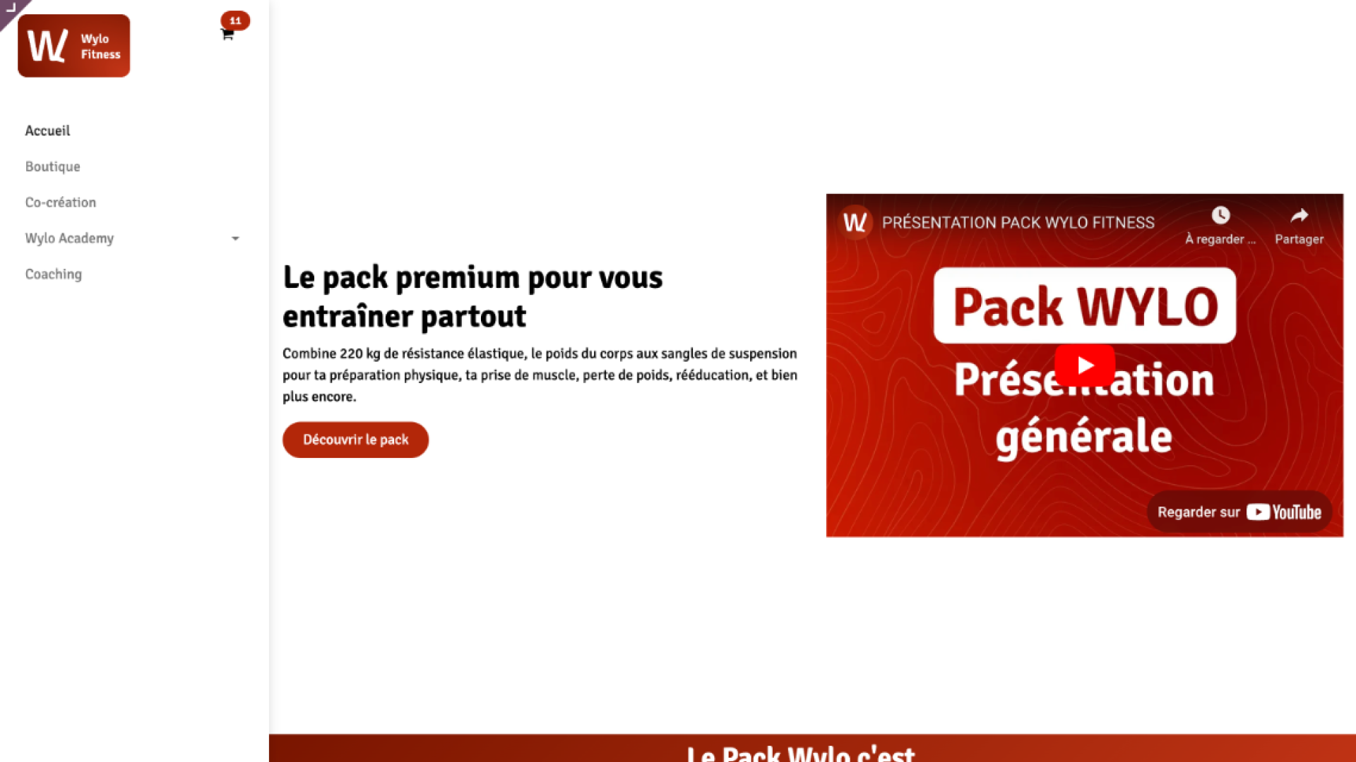 Wylo Portfolio - 2