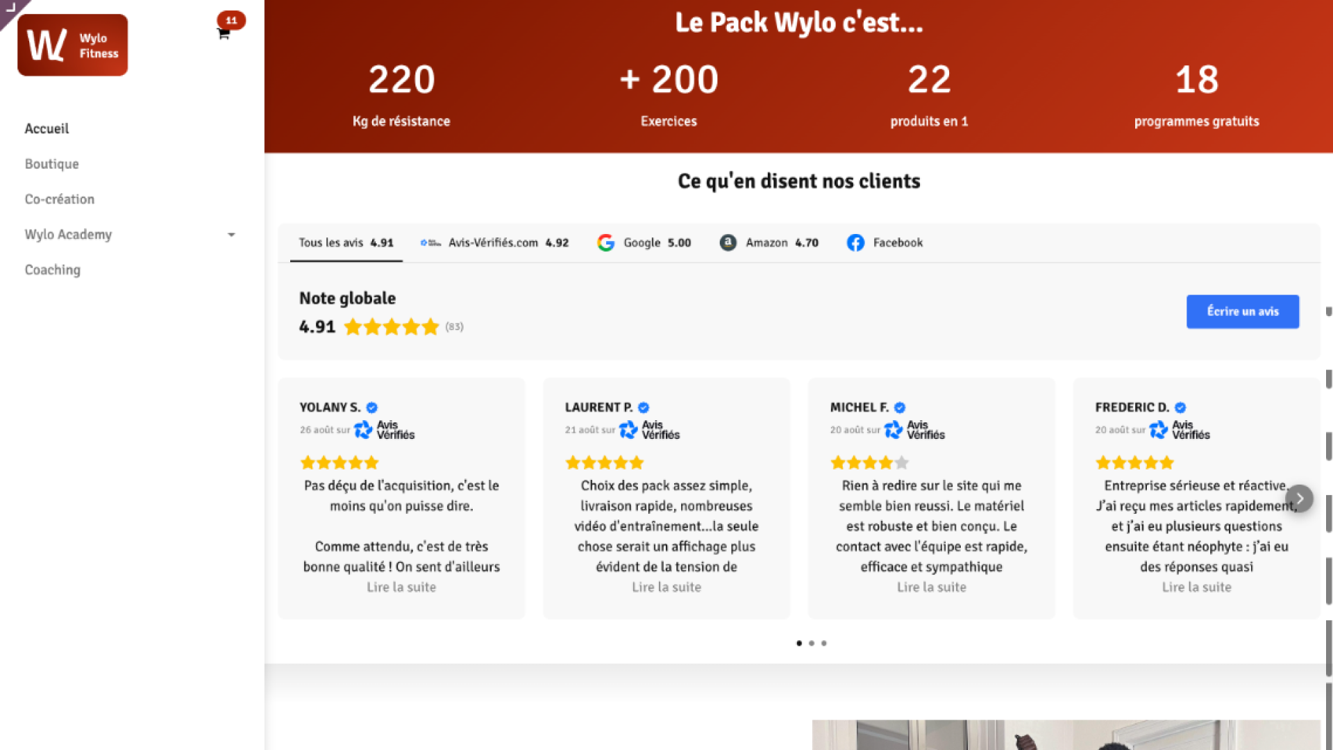 Wylo Portfolio - 3